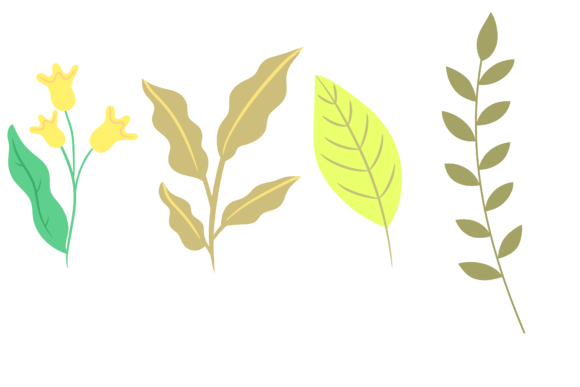 Plant Flower Illustration Graphics for Creative Freebies